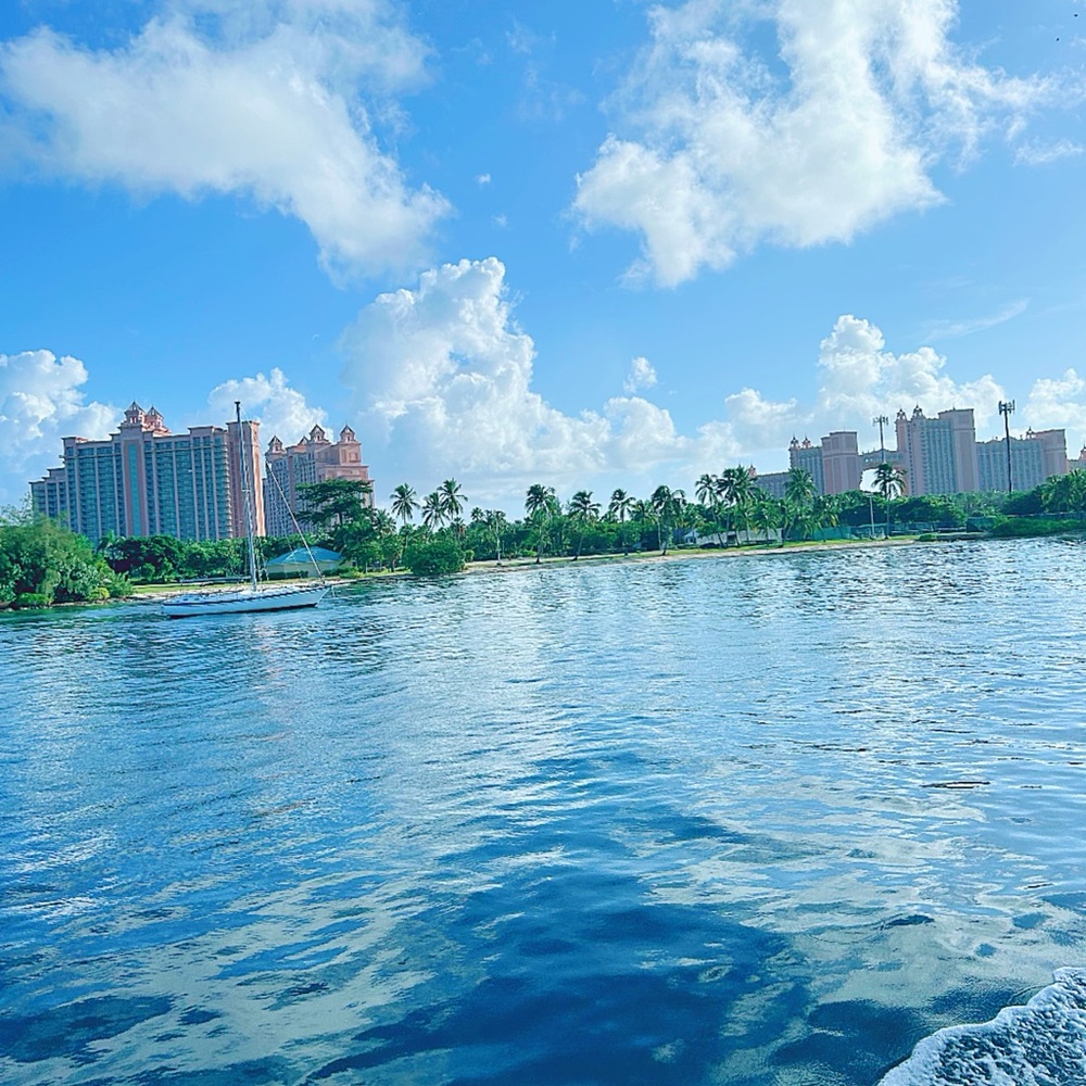 Meet your Posher, Shane